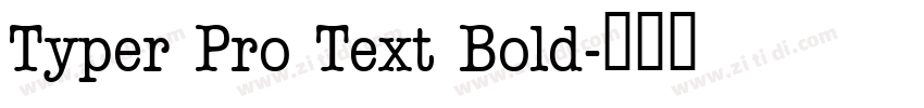 Typer Pro Text Bold字体转换